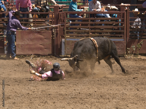 rodeo bull rider