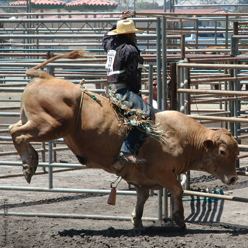 bull & rider © Clarence Alford