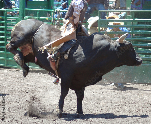 bull & rider