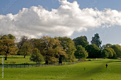 country park