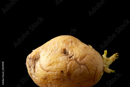 alte Kartoffel