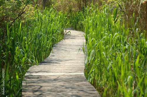 walkway