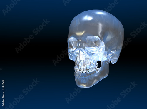 crystal skull