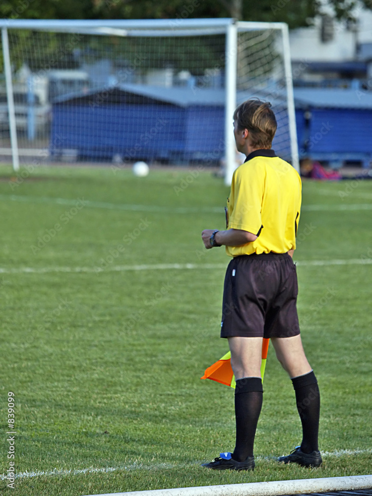 Obraz premium linesman