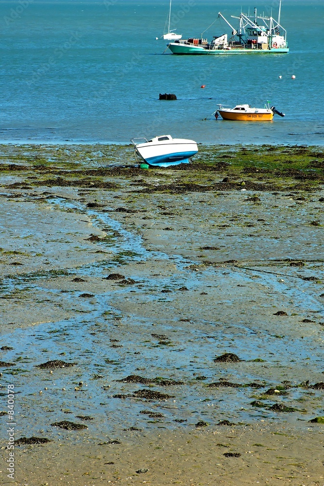 Foto maree basse