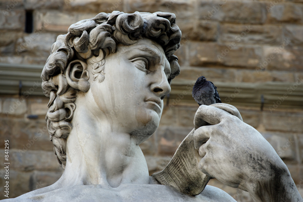 Fotografie david talking to a pigeon