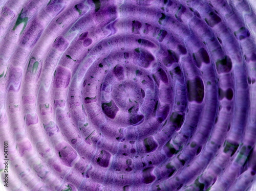 abstract purple background