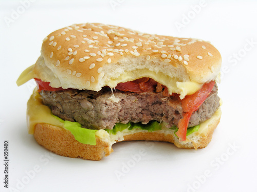 hamburger 3 © Melisback