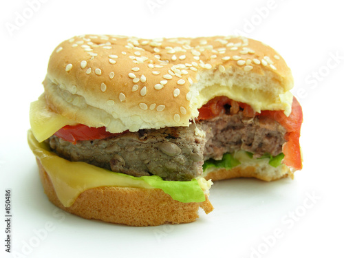 hamburger 1