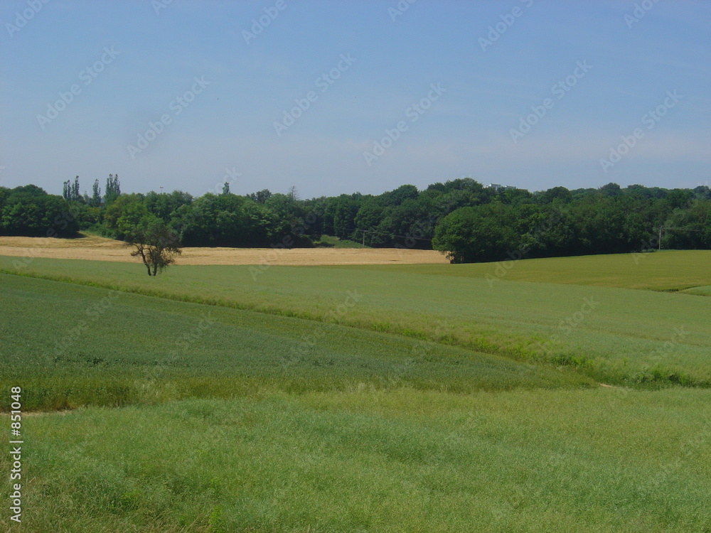 Obraz premium culture