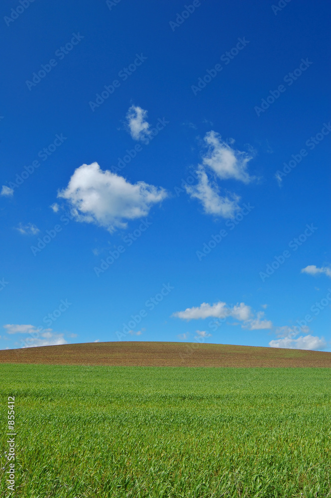 springtime field