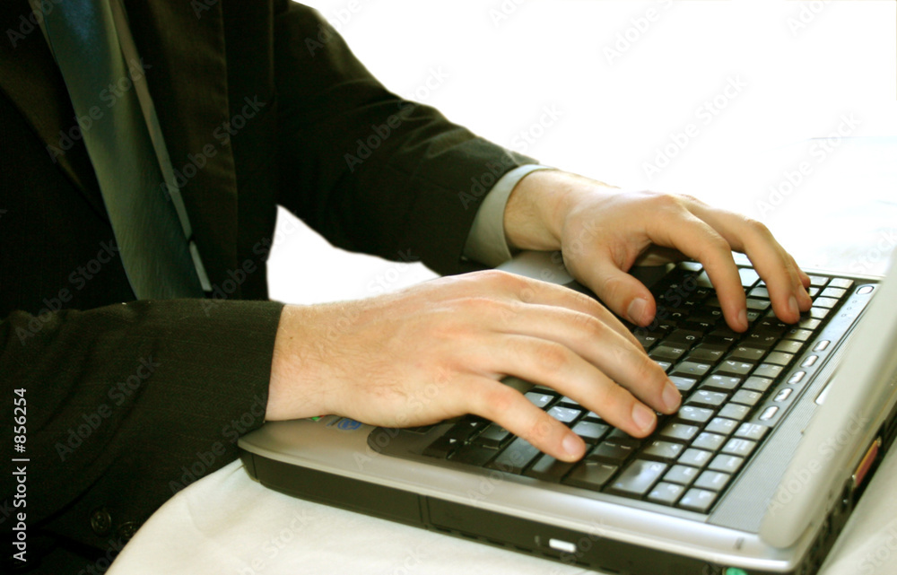 Fototapeta business man with laptop 31