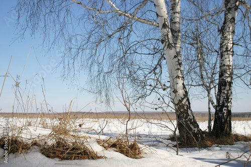 russian nature
