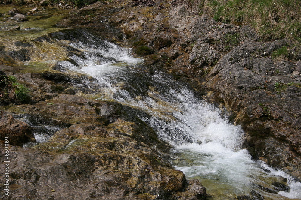 torrent torrent