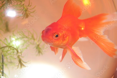 poisson_2