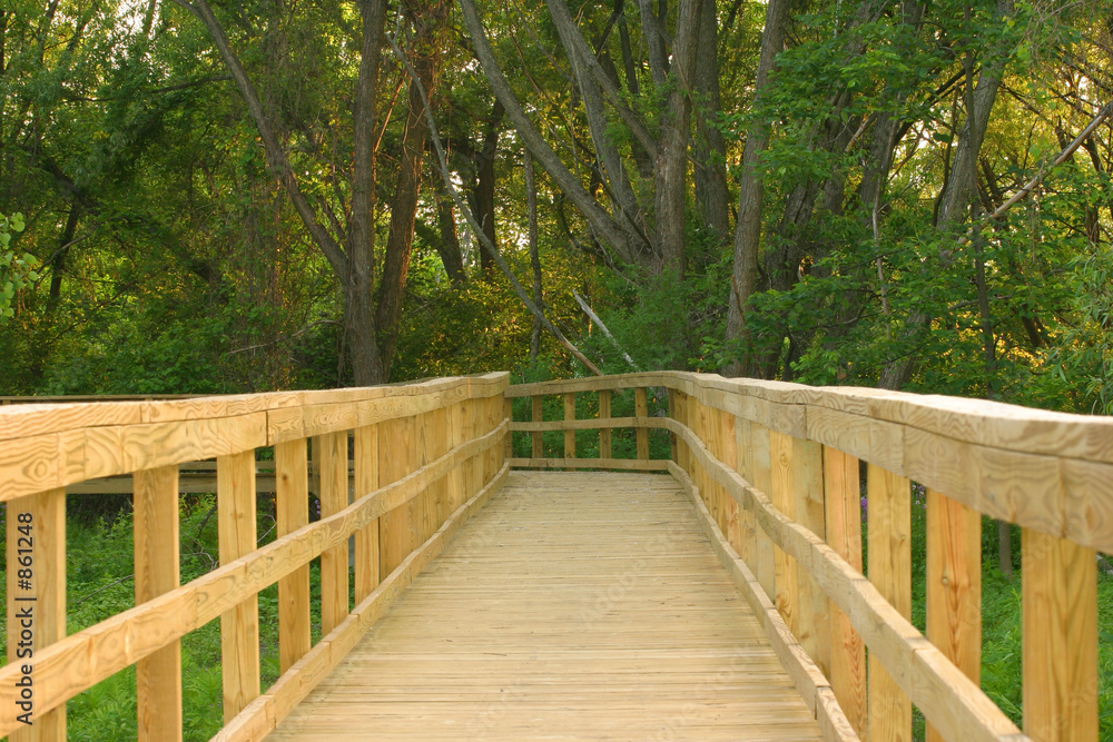 wooden path