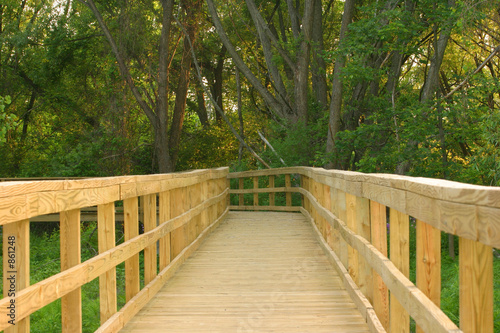 wooden path