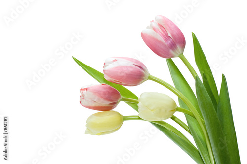 bouquet tulip