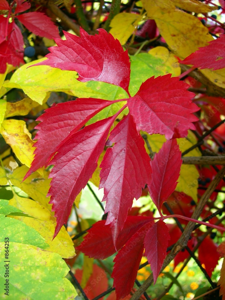 colours of autumn colours of autumn