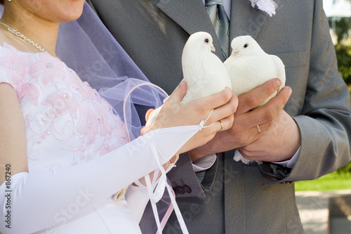 the newlyweds and dove