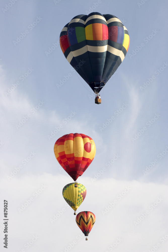 Fototapeta premium soaring up