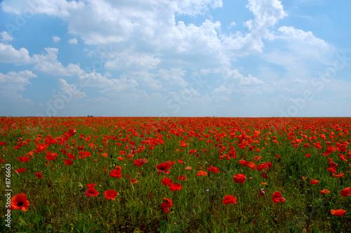 natural summer beauty