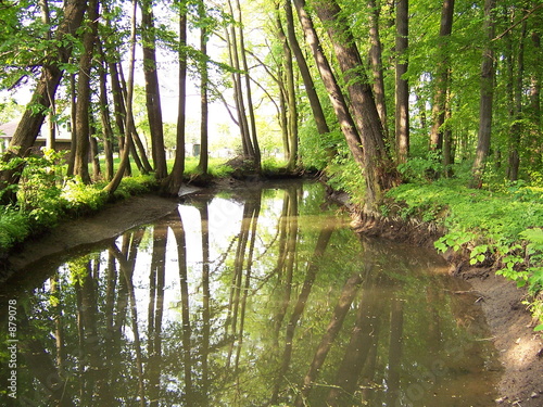 auenwald