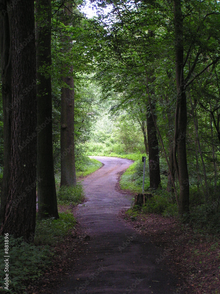Obraz premium lüneburger waldweg