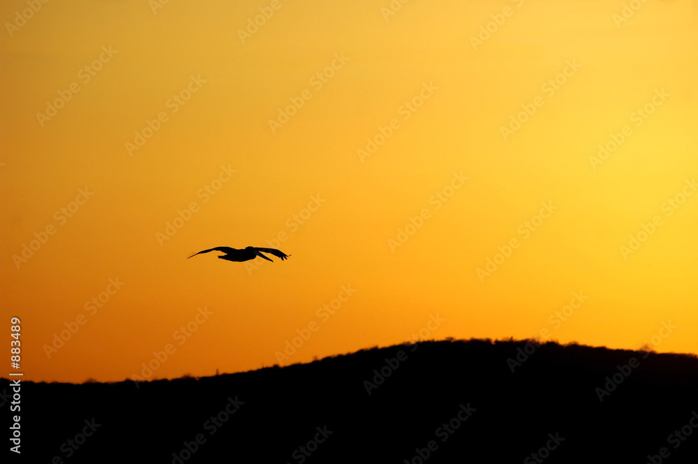 pelican sunset glide pelican sunset glide