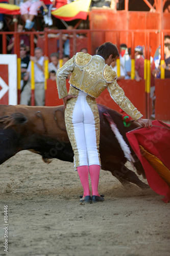 torero and bull