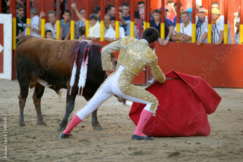 torero and bull
