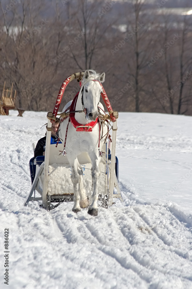 Foto winter holiday