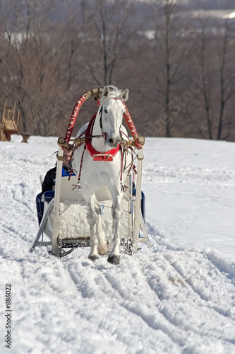 winter holiday