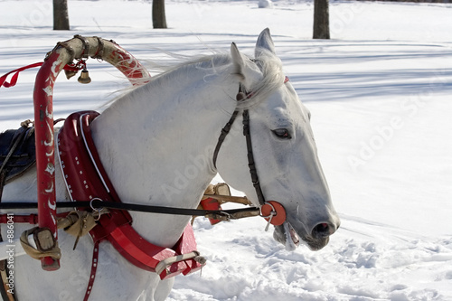 winter holiday