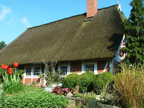 reetdachhaus mit steingarten photo