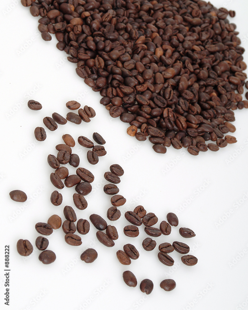 café granos café granos