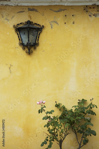 background of grunge wall, bush and lamp