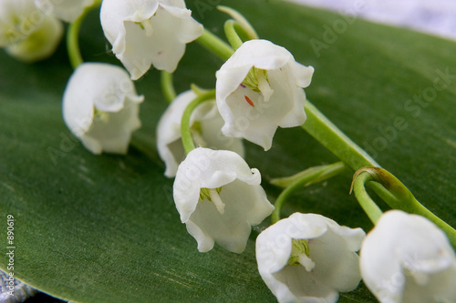 spring flower a lily of the valley