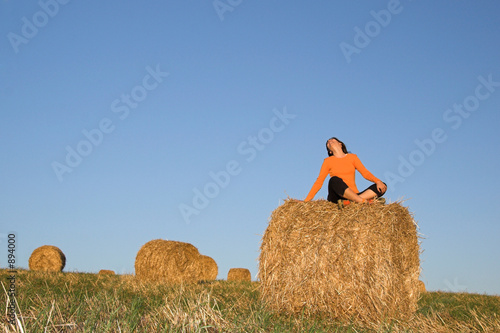 setated in hay bale photo