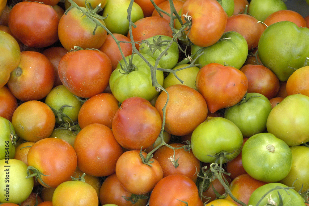 tomates tomates