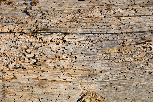 barn wood texture