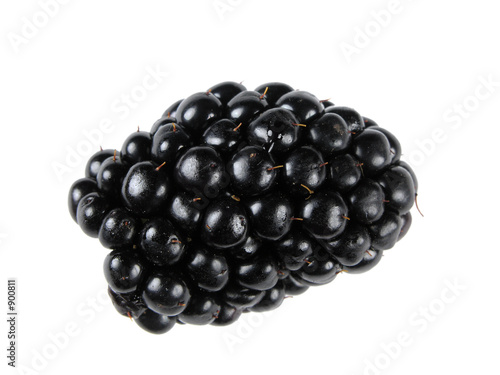 black rasberry