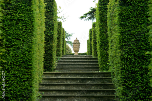 the urn