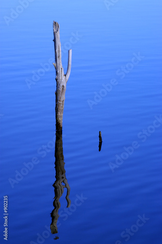 the lake