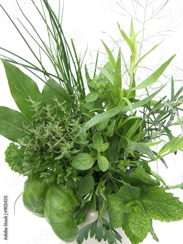 herbes et aromates