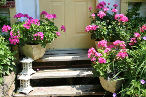front steps with geraniums