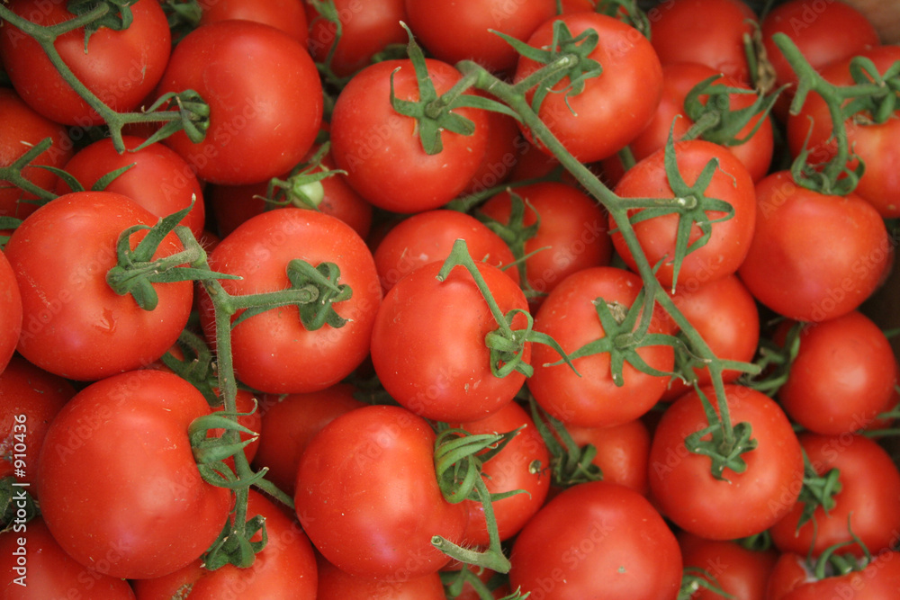 tomatoes tomatoes