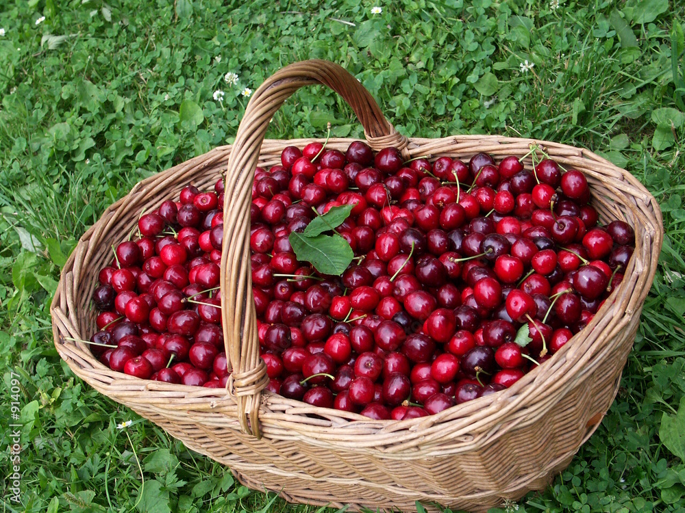 obstkorb obstkorb
