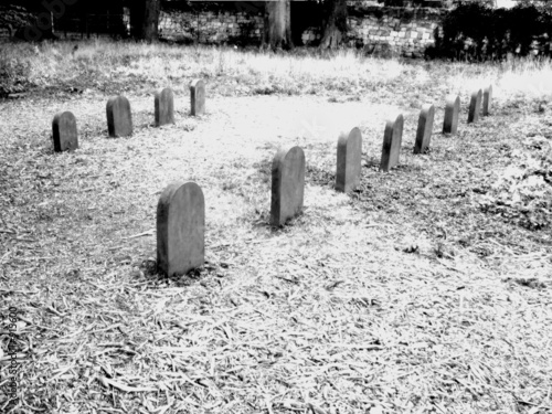 pet cemetery