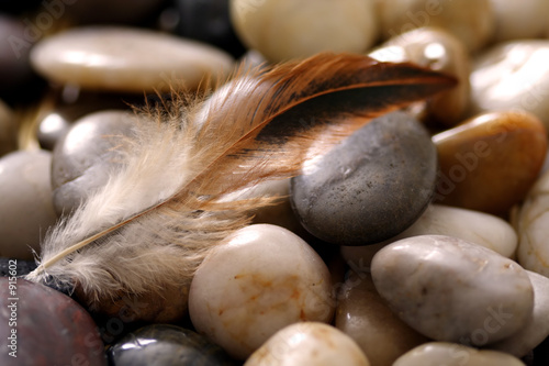 Canvas Print feather and rocks
